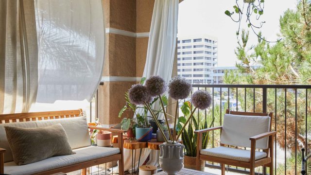 Discover the Latest Outdoor Shade Solution for Summer Comfort