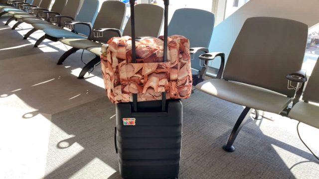 The Must-Have Carry-On Bag That Everyone's Talking About