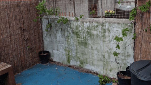 Transforming Outdoor Spaces: The Power of DIY Solutions | pokerpos4d, surah tabarakallazi, thor 368