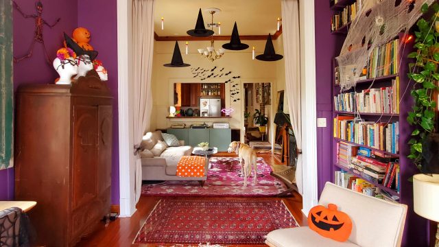 Embrace the Whimsical Vibes of Summerween with Fun Decor Ideas
