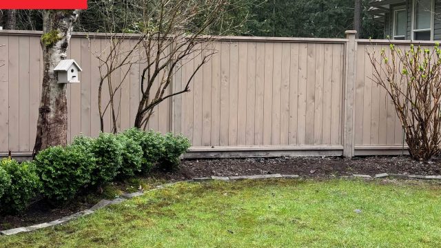 Transforming Your Outdoor Space: A Gardener's Corner Revival