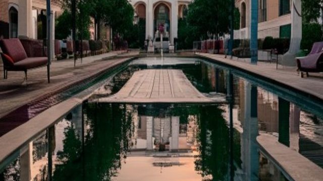 Unfortunate Sightings at the Reflecting Pool Spark Concern