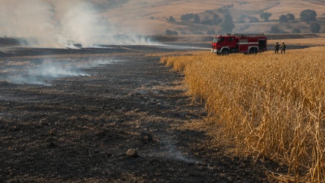 Significant Crop Losses in Svetinikole: 30 Hectares Affected by Fire | nolimit city, situs slot ug